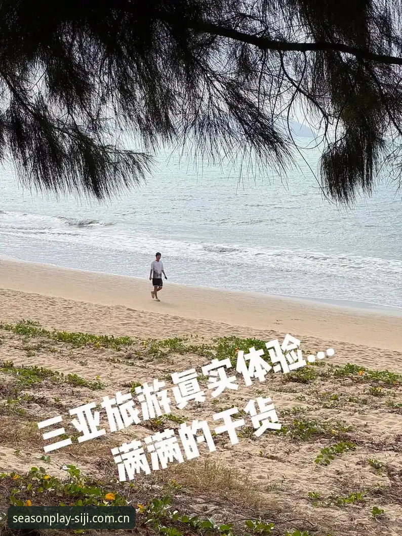 四季体育靠谱吗 揭秘四季体育平台:这款APP靠谱吗?数据背后的真实体验